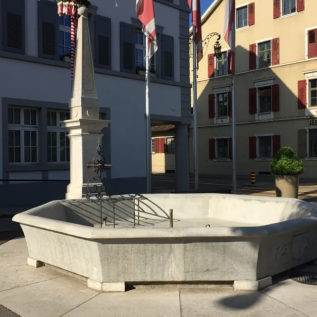 Restaurierung Dorfbrunnen